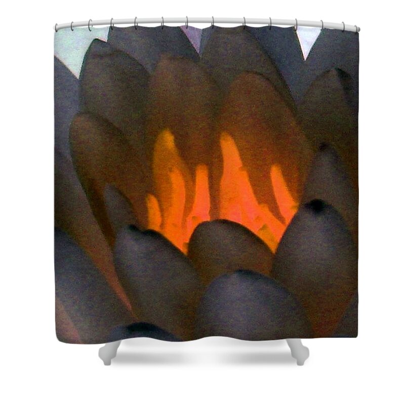 Water Lilies Shower Curtain featuring the photograph The Water Lilies Collection - PhotoPower 1044 by Pamela Critchlow