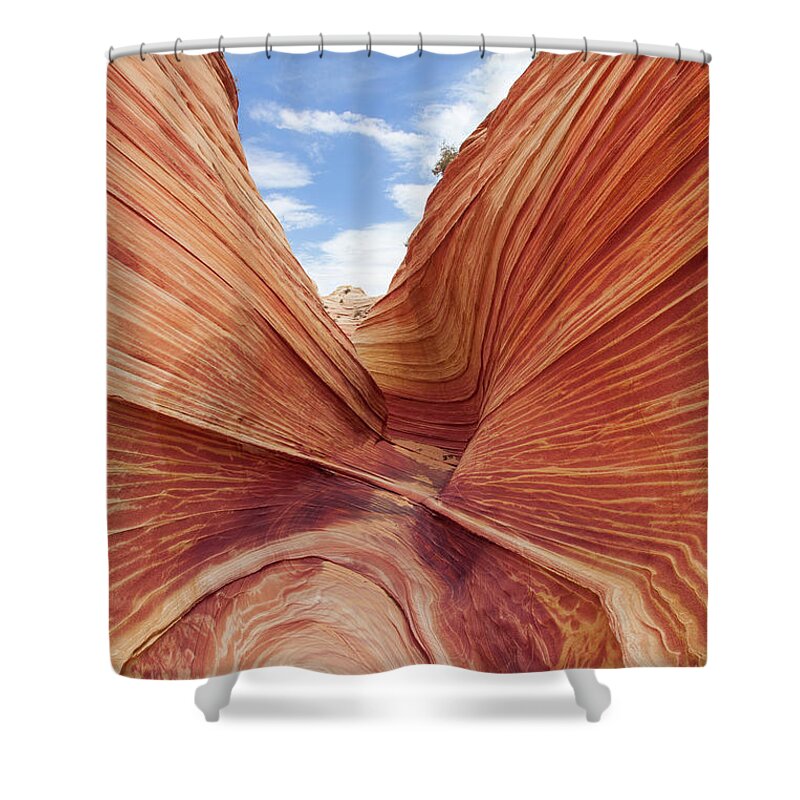 Tranquility Shower Curtain featuring the photograph The Wave - North Coyote Buttes by Patrick Leitz
