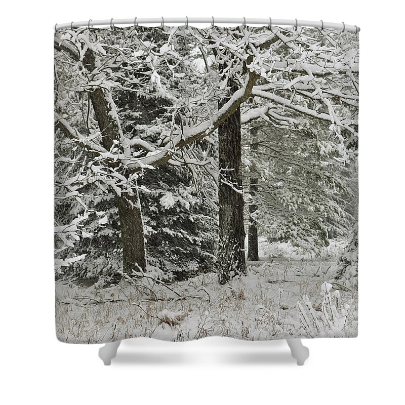 Snow Shower Curtain featuring the photograph The Weight of Winter by Gwen Gibson