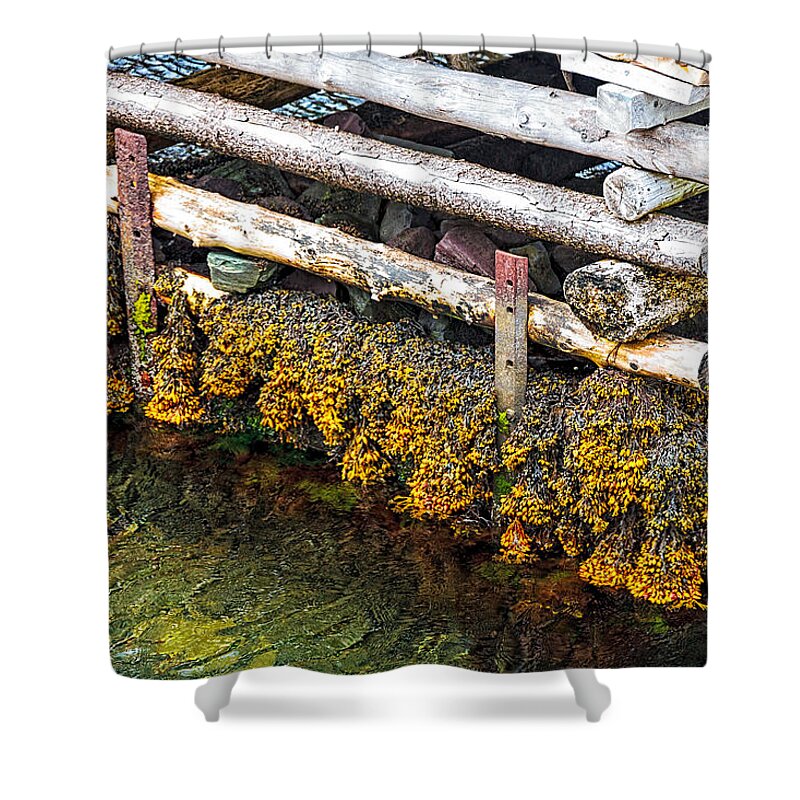 Canada Shower Curtain featuring the photograph The Wharf by Perla Copernik