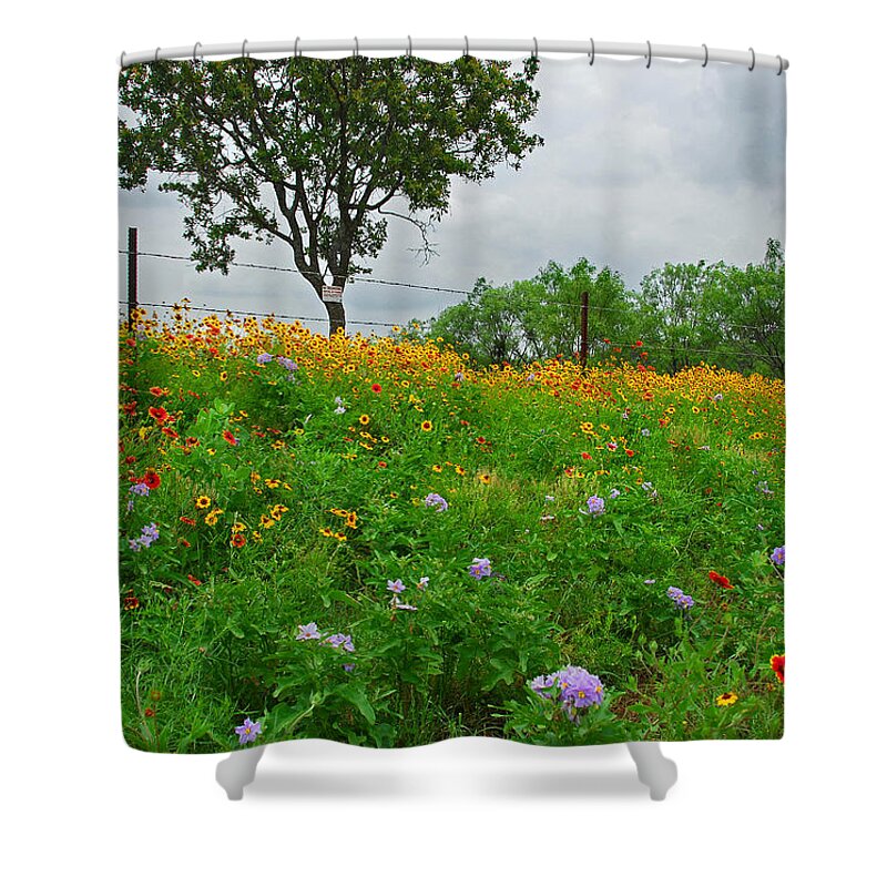 Wildflowers Shower Curtain featuring the photograph The Wild Side of Texas by Lynn Bauer