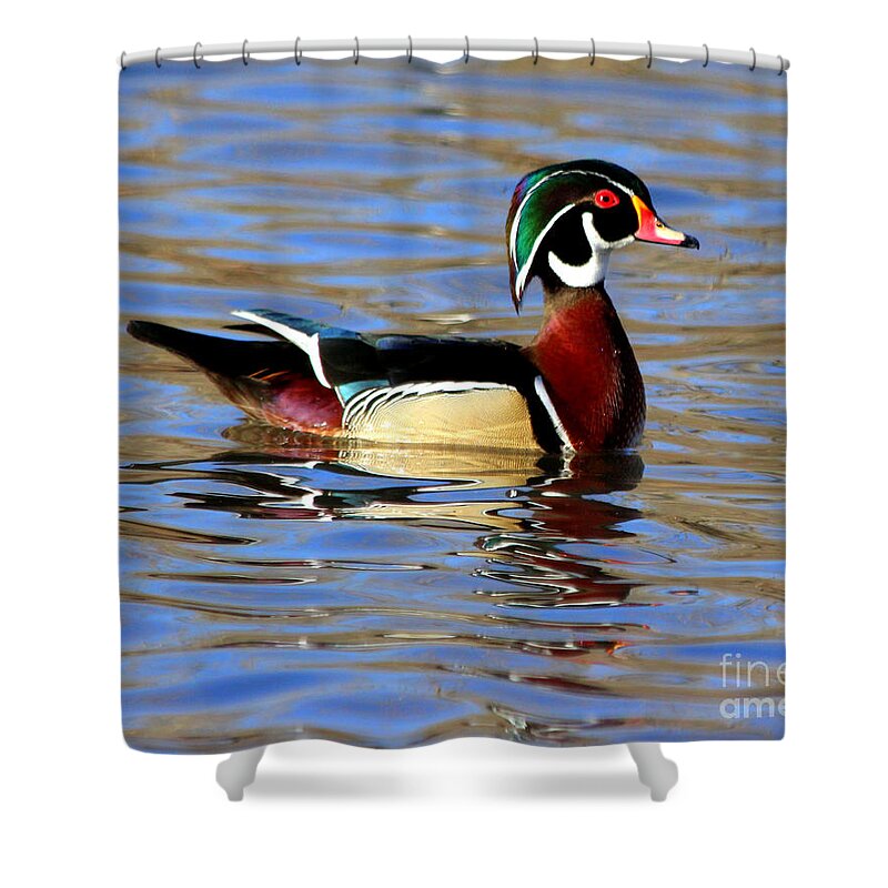 Wood Ducks Shower Curtain featuring the photograph The Wood Duck by Kathy White