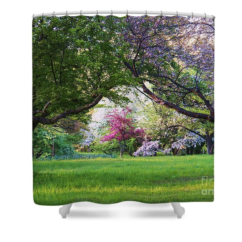 Spring Shower Curtain featuring the photograph There is No Place Like Spring by Judy Via-Wolff
