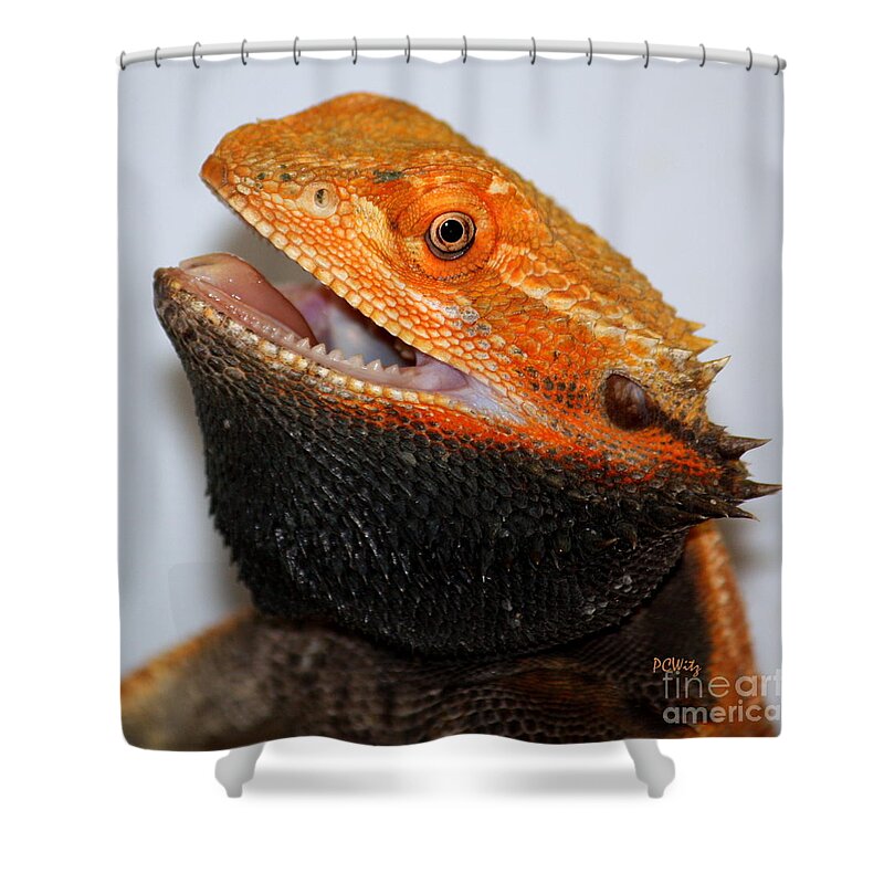 This Is My Best Side Shower Curtain featuring the photograph This IS My Best Side by Patrick Witz