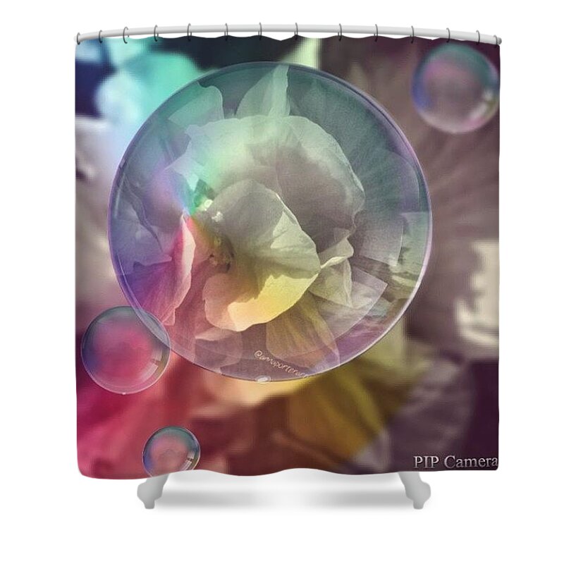 This Is My Thank You Shower Curtain featuring the photograph This Is My Thank You by Anna Porter