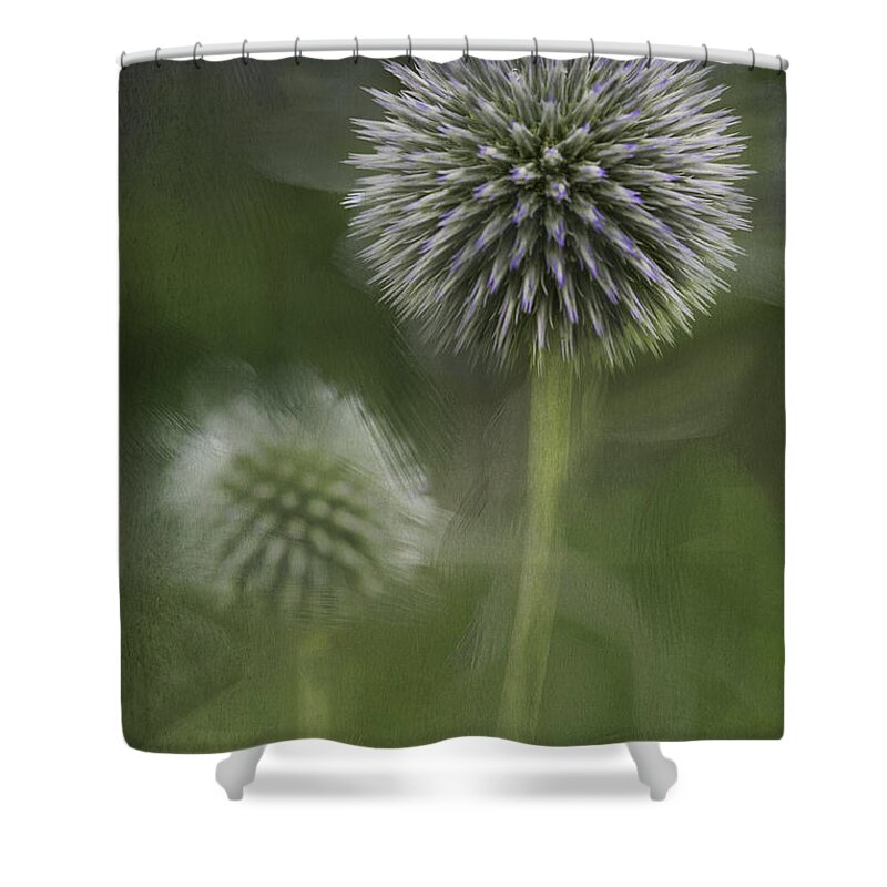 Flower Shower Curtain featuring the photograph Thistle by Fran Gallogly