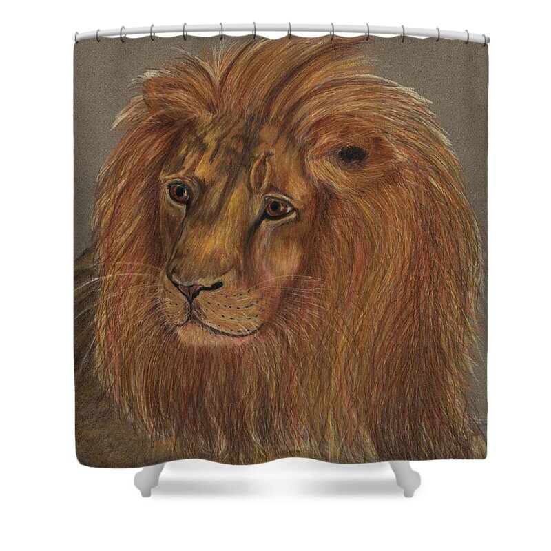 Lion Shower Curtain featuring the drawing Thoughtful lion 2 by Stephanie Grant