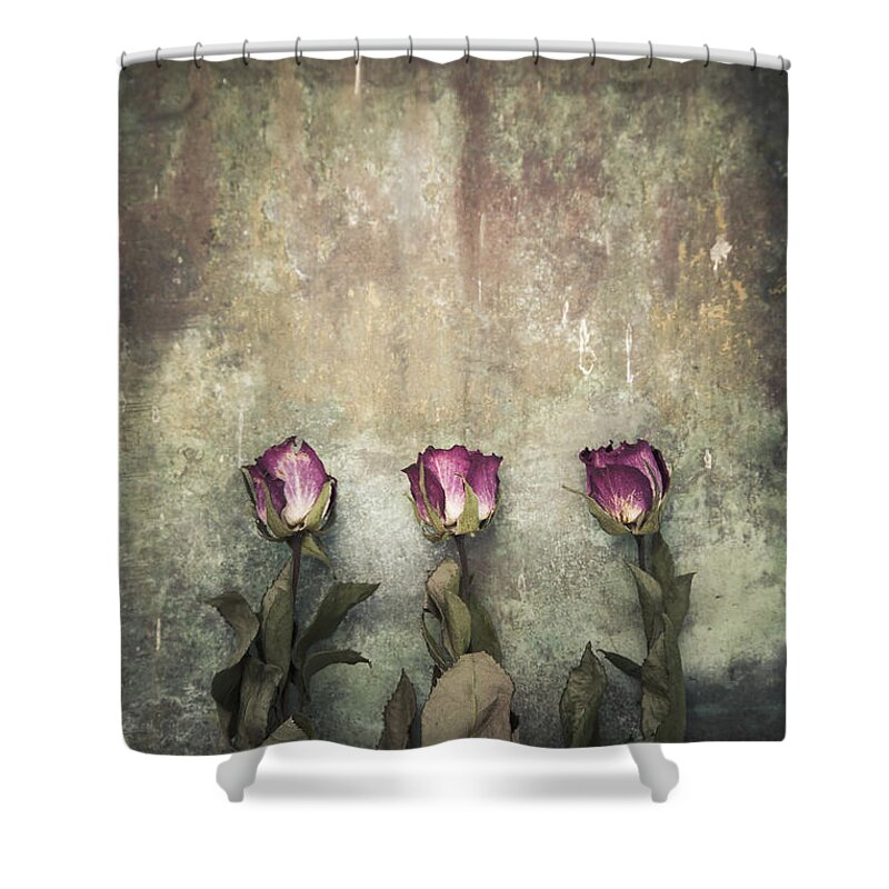 Abstract Shower Curtain featuring the photograph Three dried roses by Maria Heyens