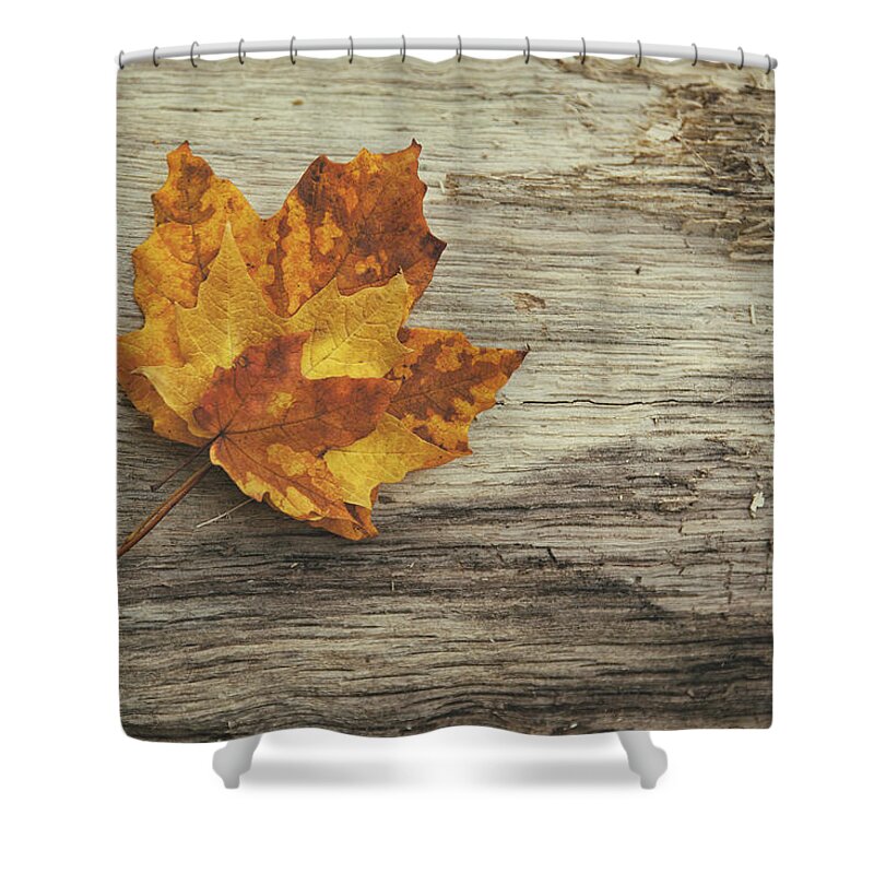 Maple Leaf Shower Curtain featuring the photograph Three Leaves by Scott Norris