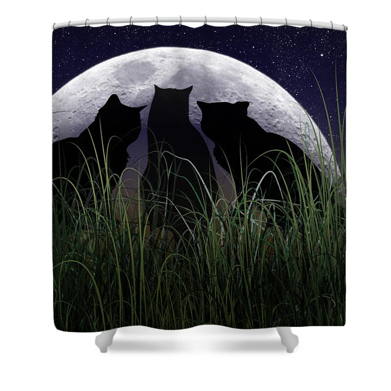 2d Shower Curtain featuring the digital art Threefold by Brian Wallace
