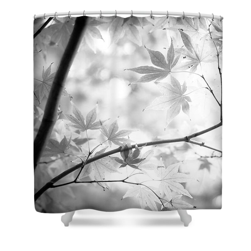 Black And White Shower Curtain featuring the photograph Through The Leaves by Darryl Dalton