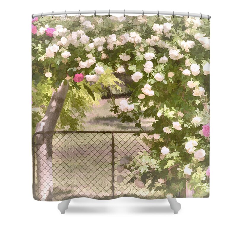 Roses Shower Curtain featuring the photograph Through the Rose Arbor by Elaine Teague