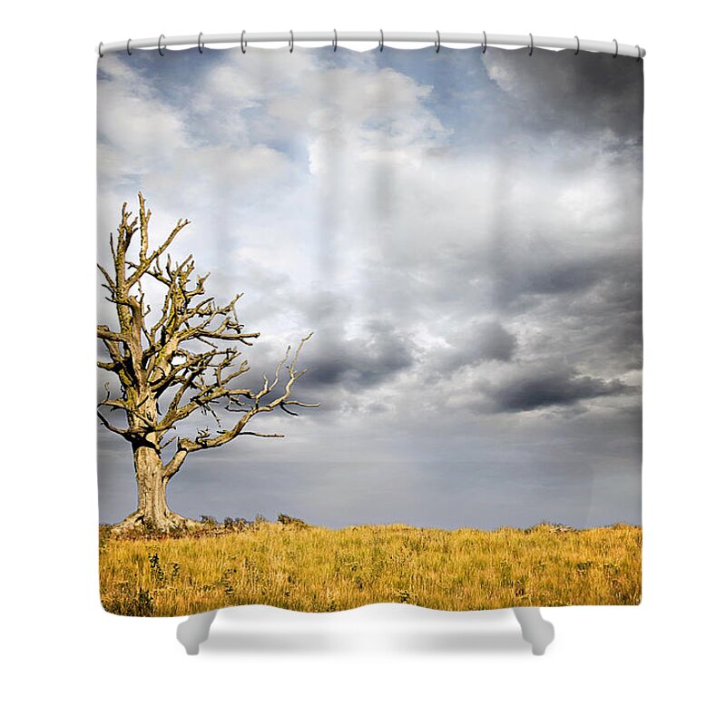Bare Shower Curtain featuring the photograph Through The Storms by Lana Trussell