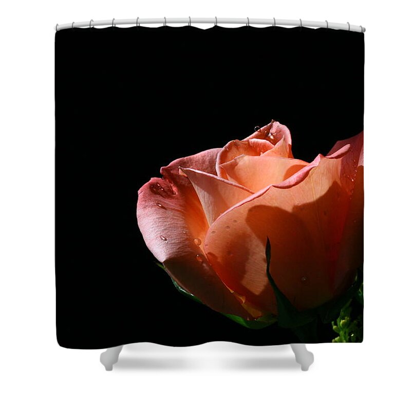 Rose Shower Curtain featuring the photograph Tickled Coral by Doug Norkum