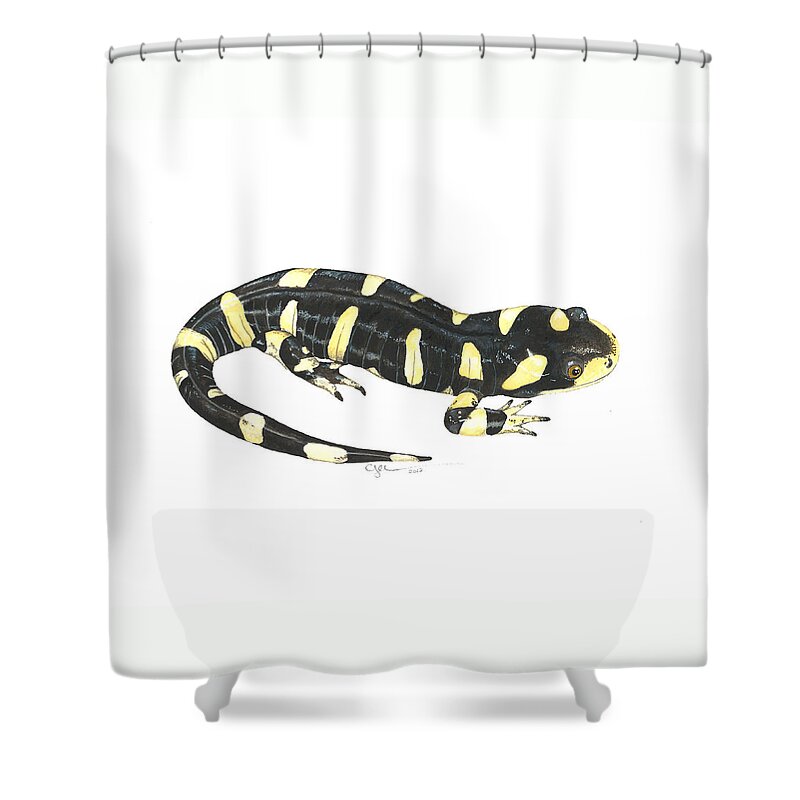 Tiger Salamander Shower Curtain featuring the painting Tiger Salamander by Cindy Hitchcock