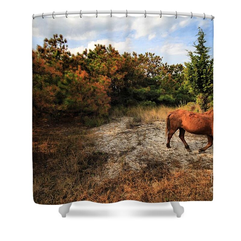 Landscapes Shower Curtain featuring the photograph Time Fer Just ME by Robert McCubbin