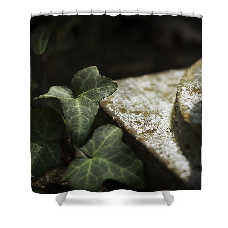 Ivy Shower Curtain featuring the photograph Time is the Substance by Rebecca Sherman