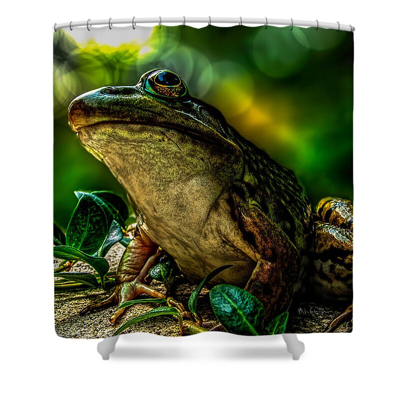 Time Spent With The Frog Shower Curtain by Bob Orsillo - Pixels