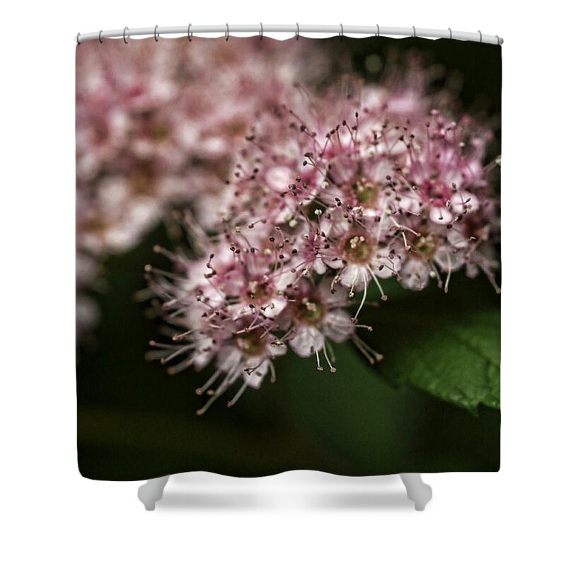 Flowers Shower Curtain featuring the photograph Tiny flowers by Michael McGowan