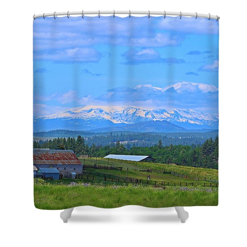 Mt Adams Shower Curtain featuring the photograph Topless by Lynn Hopwood