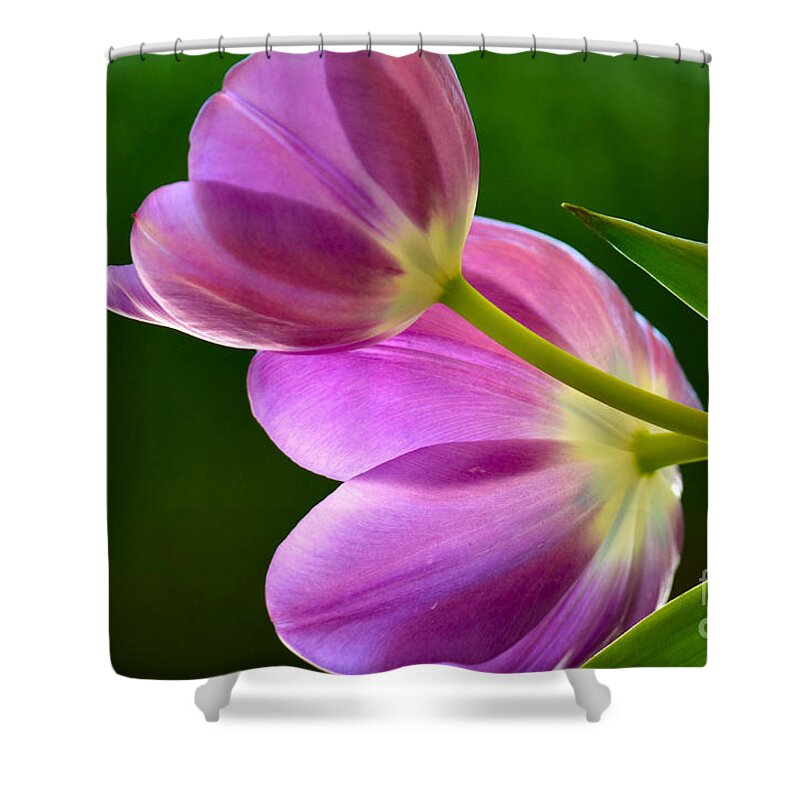 Tulip Shower Curtain featuring the photograph Topsy-Turvy Tulips by Deb Halloran