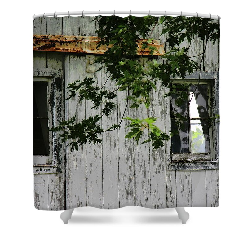Touch Of Gray Shower Curtain featuring the photograph Touch Of Gray by Edward Smith