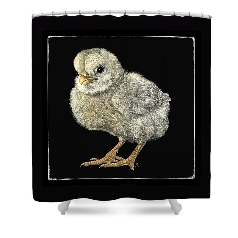 Chick Shower Curtain featuring the drawing Tough Chick by Ann Ranlett