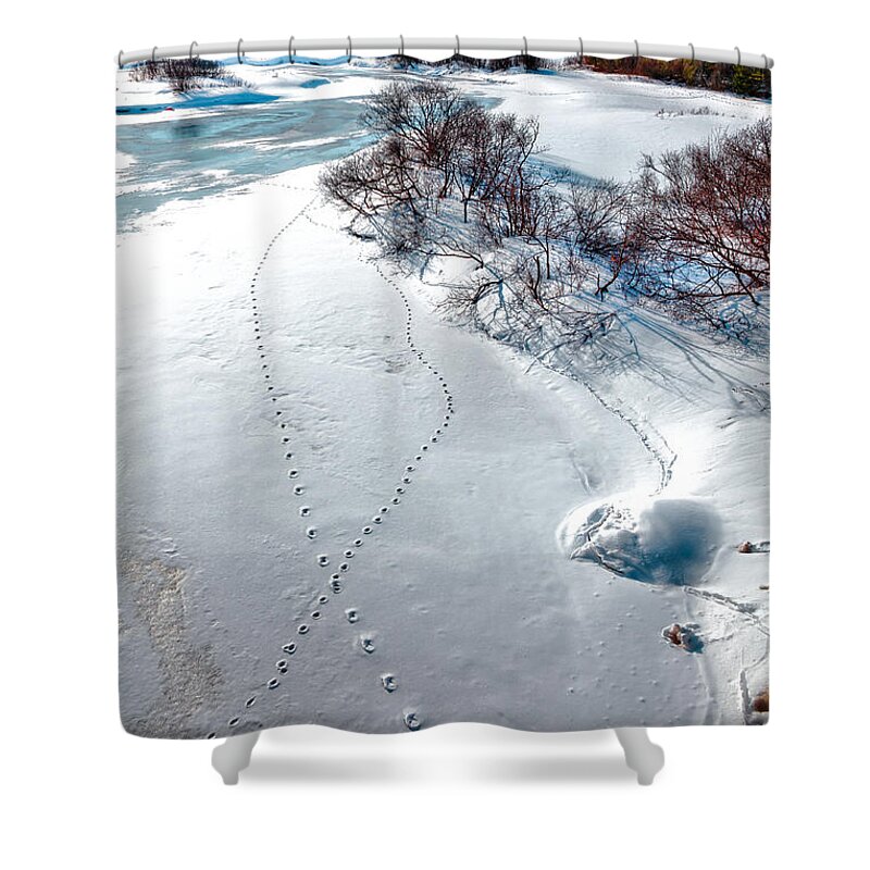 Adirondack's Shower Curtain featuring the photograph Tracks on the Frozen Moose River - Old Forge New York by David Patterson