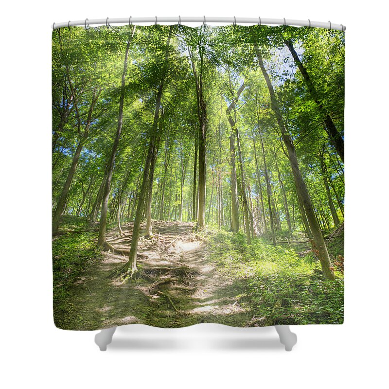 Forest Shower Curtain featuring the photograph Morning hike by Alexey Stiop