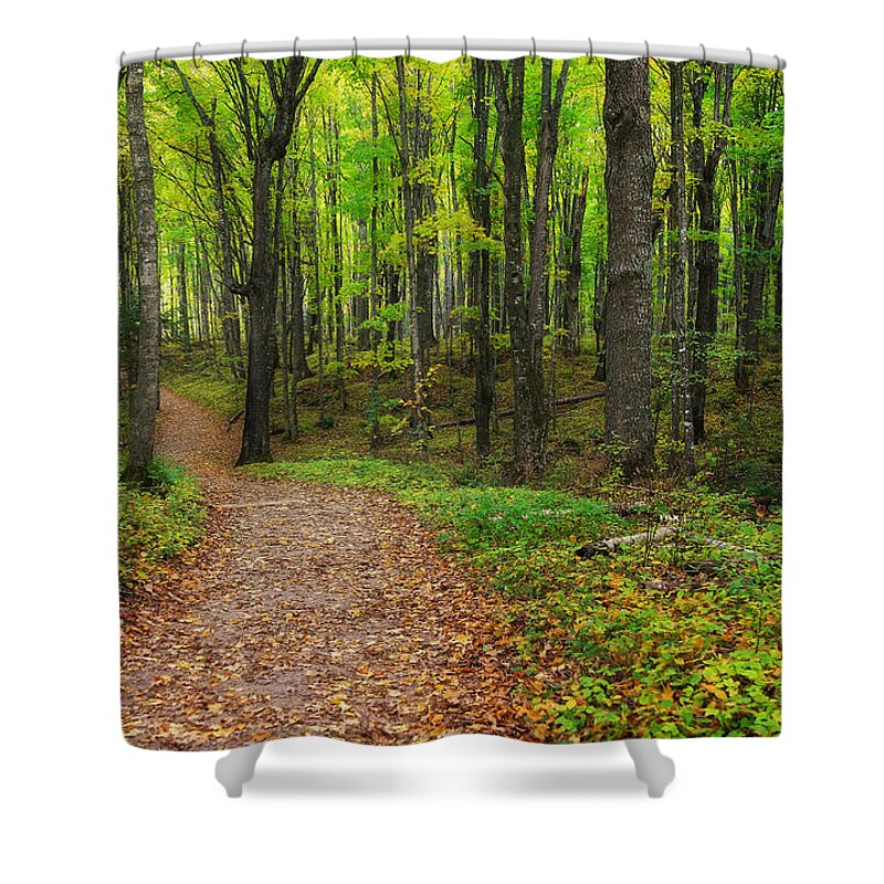 Miners Falls Trails Shower Curtain featuring the photograph Trail to Miners Falls by Rachel Cohen