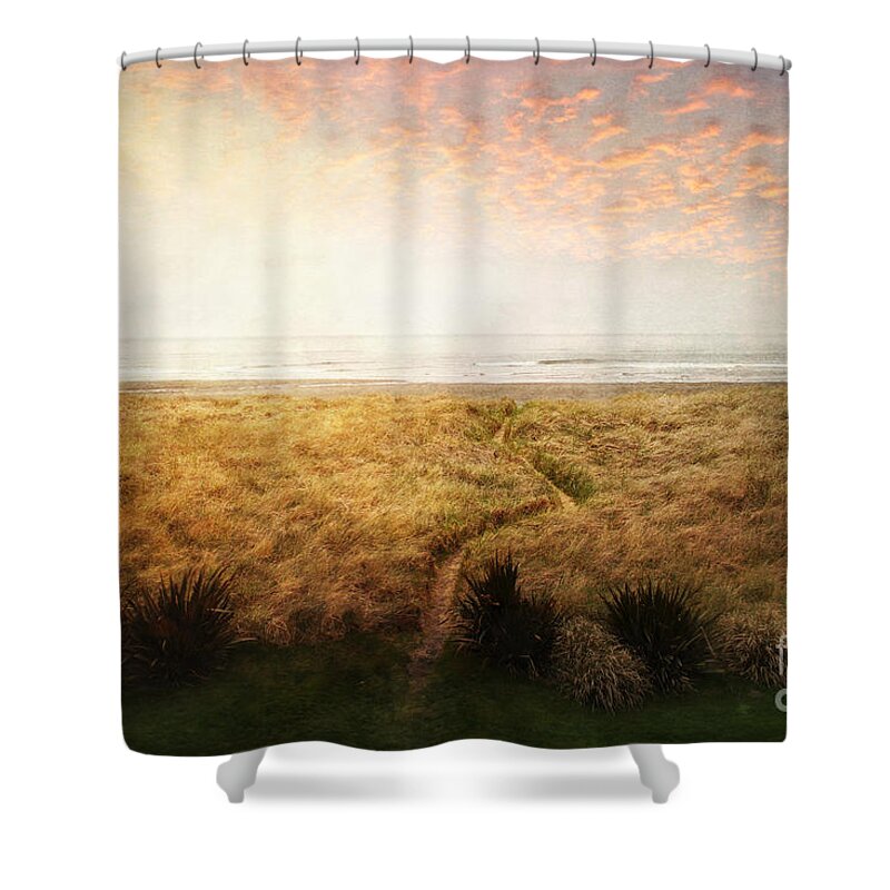 Ocean Shower Curtain featuring the photograph Trail To The Beach by Sylvia Cook