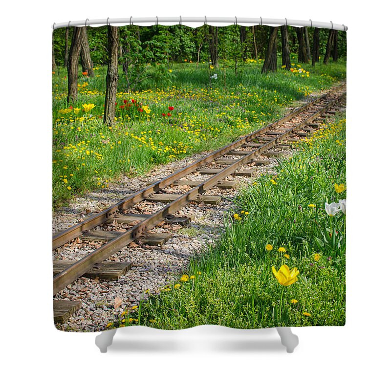 Railroad Shower Curtain featuring the photograph Train Tracks Through Mystic Flower Forest by Andreas Berthold