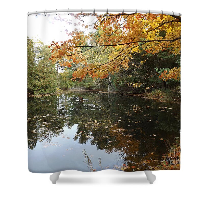 Landscape Shower Curtain featuring the photograph Tranquil Getaway by Brenda Brown