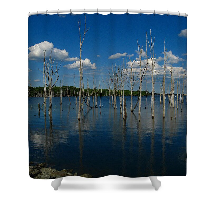 Tranquility Shower Curtain featuring the photograph Tranquility II by Raymond Salani III