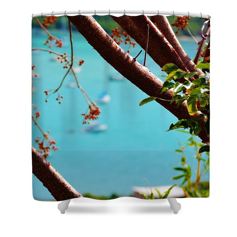 Nature Shower Curtain featuring the photograph Tranquility by Tamara Michael