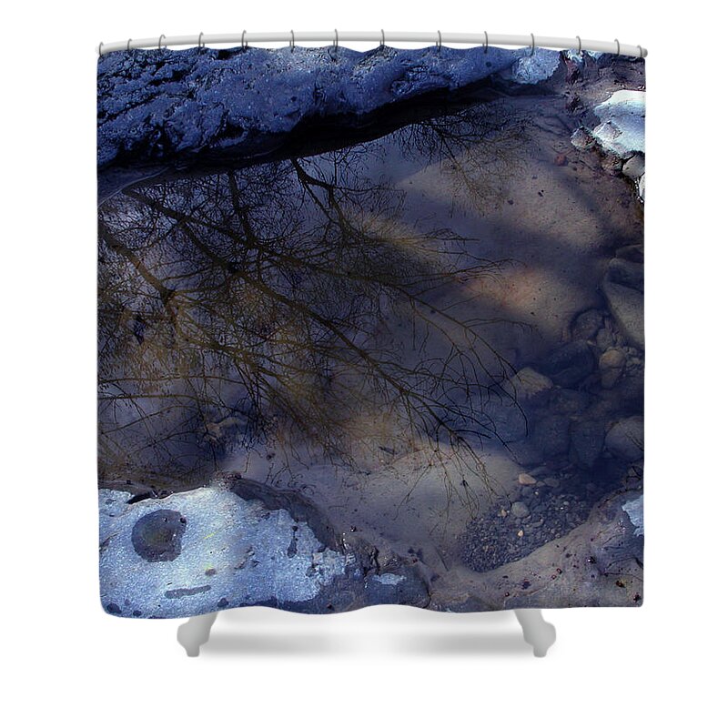 Colette Shower Curtain featuring the photograph Transparent Water in Nature by Colette V Hera Guggenheim