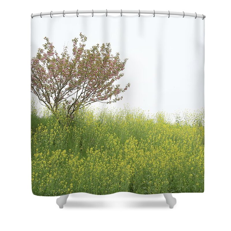 Scenics Shower Curtain featuring the photograph Tree At Cherry Yellow Field by Tsuntsun