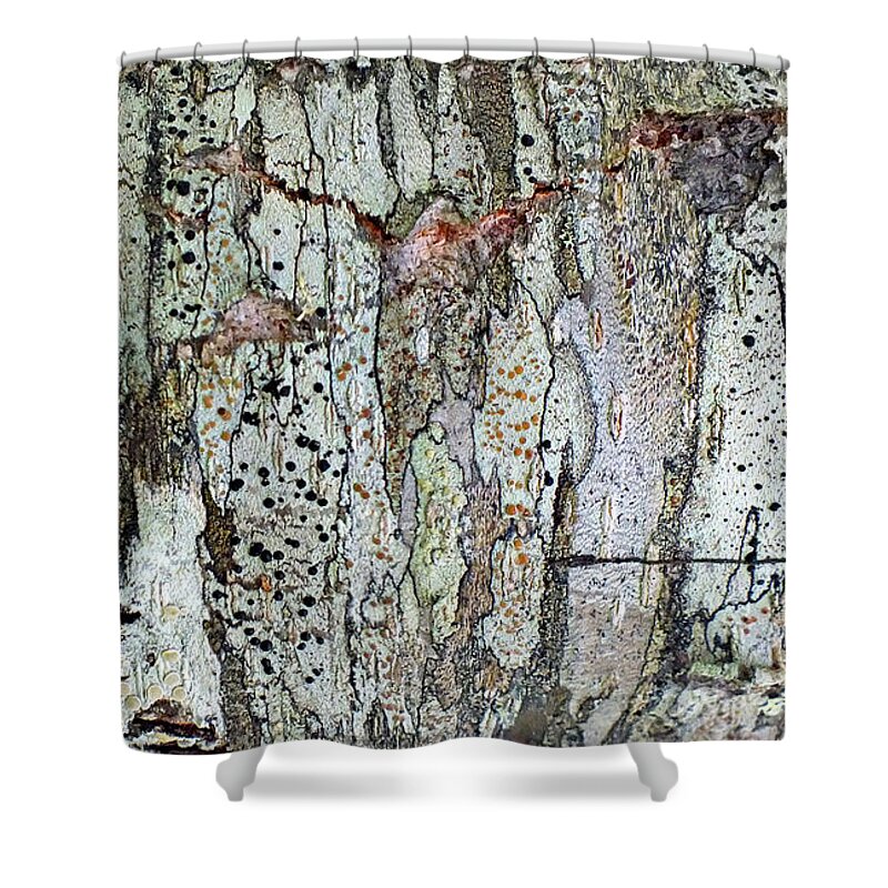 Duane Mccullough Shower Curtain featuring the photograph Tree Bark Abstract by Duane McCullough