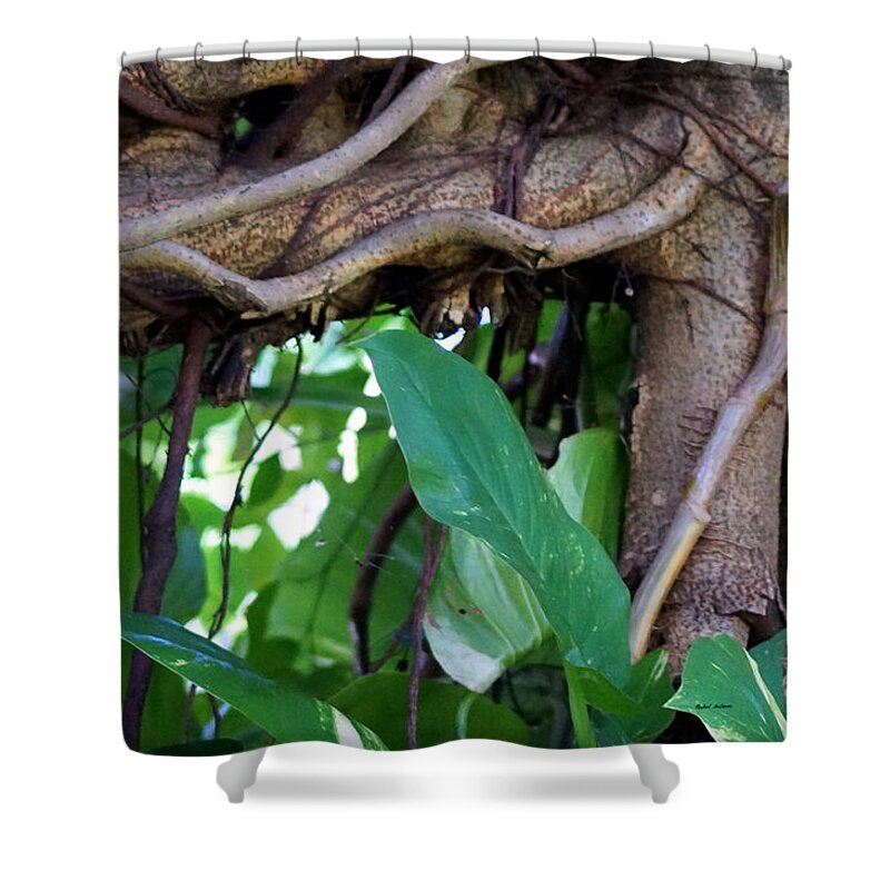 Tree Shower Curtain featuring the photograph Tree Branch by Rafael Salazar