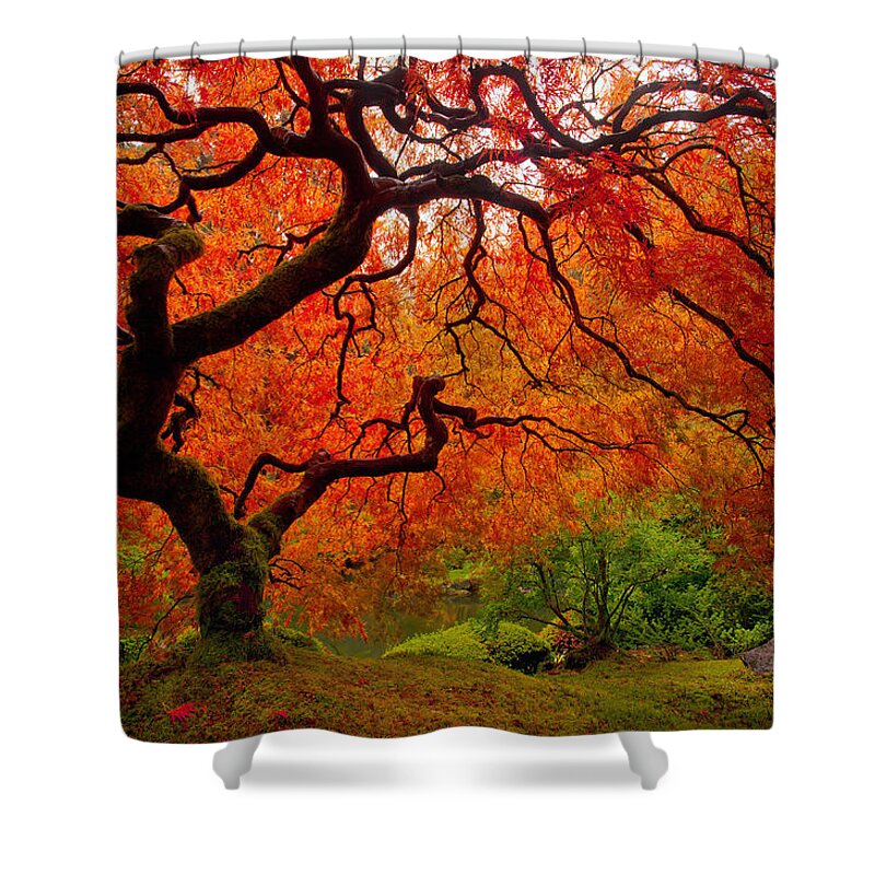 Portland Shower Curtain featuring the photograph Tree Fire by Darren White