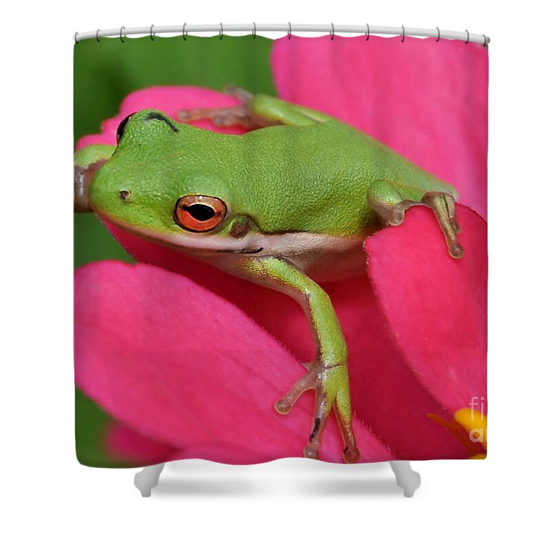 Frog Shower Curtain featuring the photograph Tree Frog On A Pink Flower by Kathy Baccari