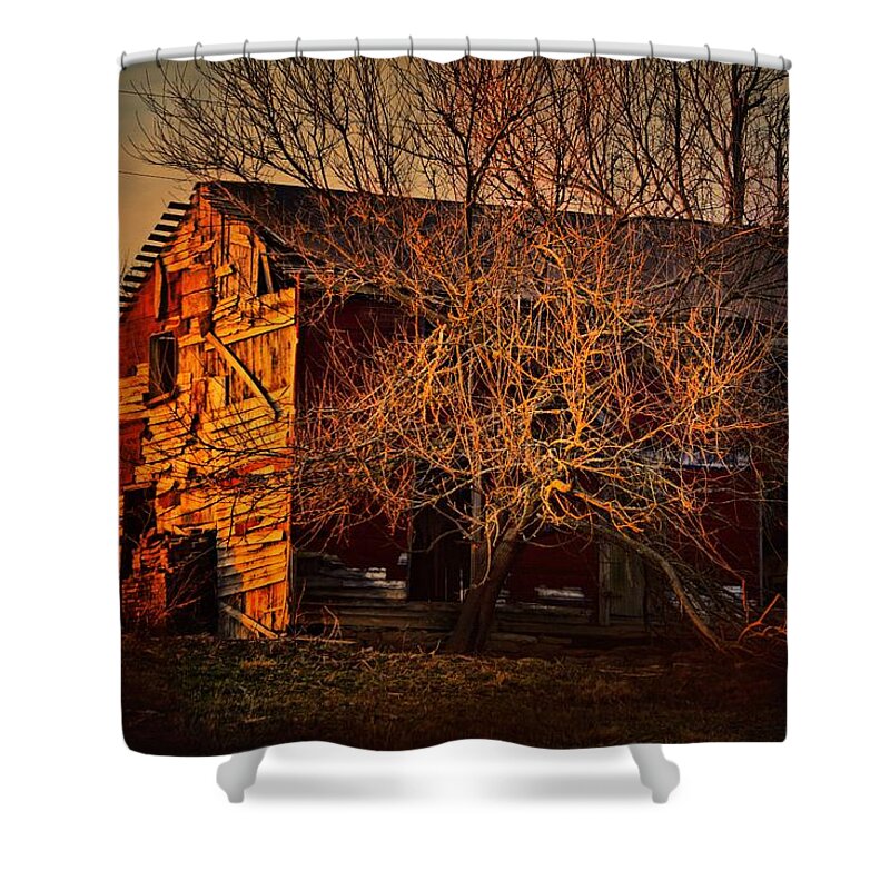 Tree Shower Curtain featuring the photograph TREE House by Robert McCubbin