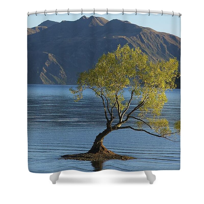New Zealand Shower Curtain featuring the photograph Tree in Lake Wanaka by Stuart Litoff