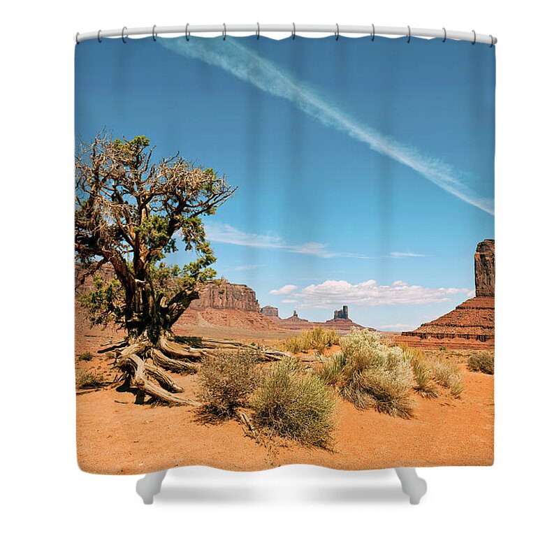 Scenics Shower Curtain featuring the photograph Tree In Monument Valley Tribal Park by Pavliha