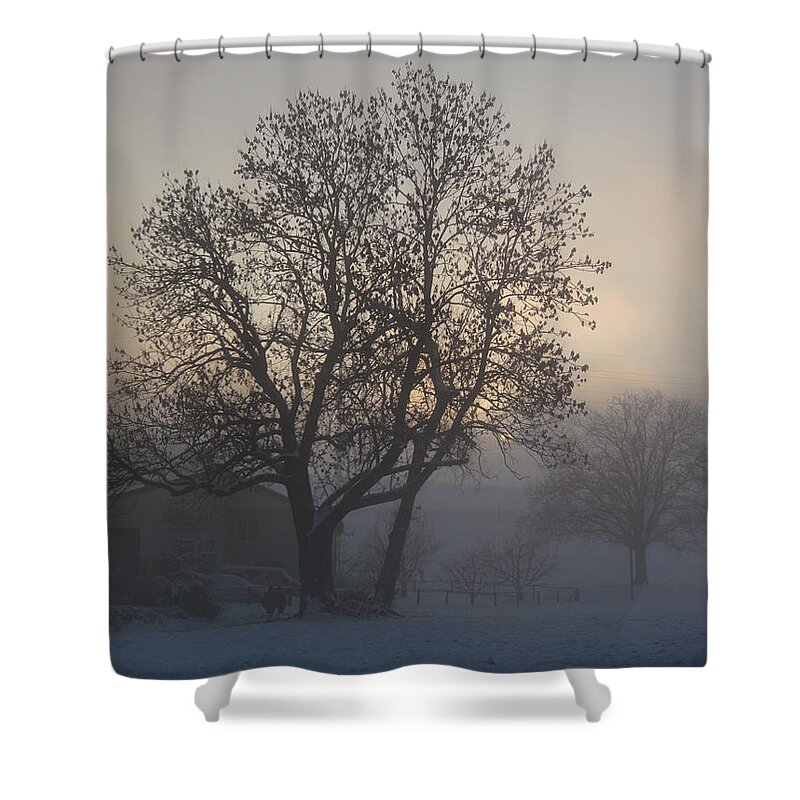 Tree Shower Curtain featuring the photograph Tree in the foggy winter landscape by Amanda Mohler