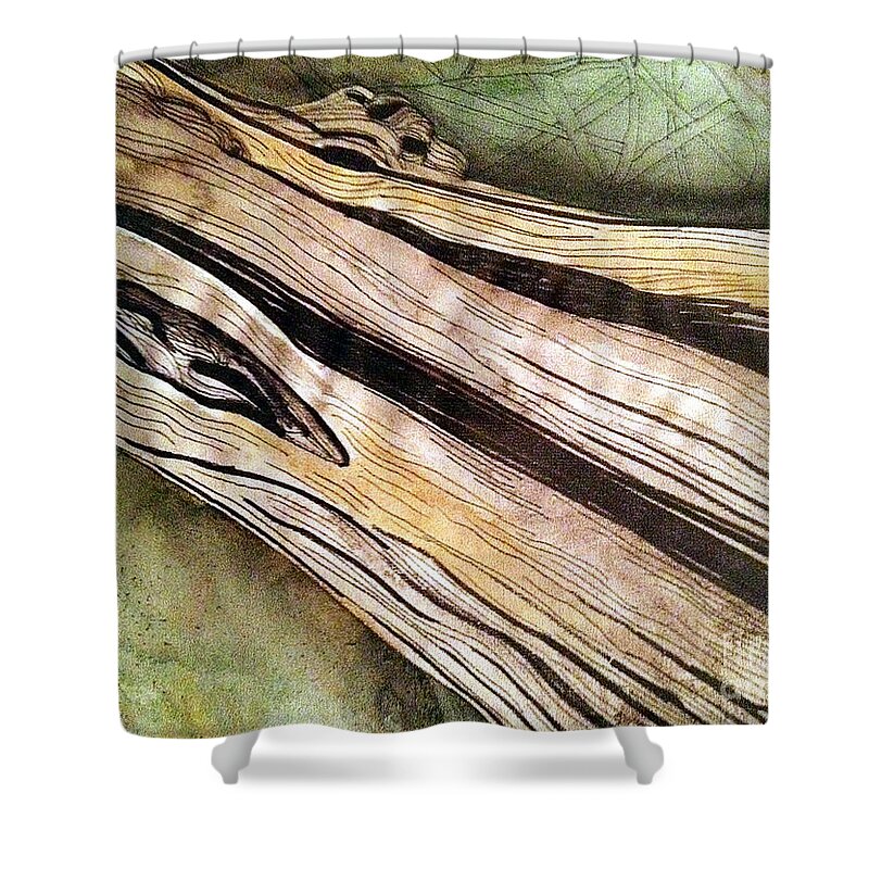 Tree Shower Curtain featuring the drawing Tree in the Forest by Lynellen Nielsen