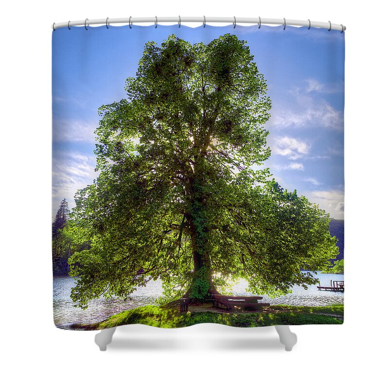 Autumn Shower Curtain featuring the photograph Tree by Ivan Slosar