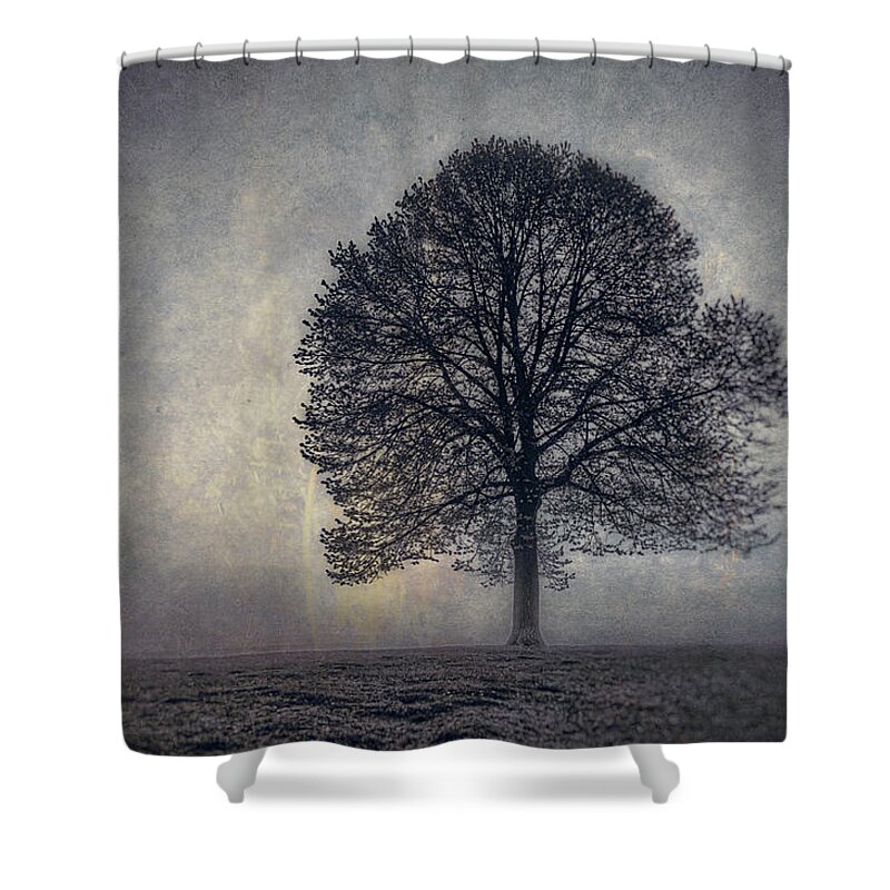 Tree Shower Curtain featuring the photograph Tree of Life by Scott Norris