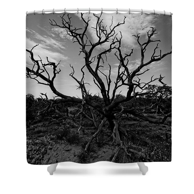 Juniper Tree Shower Curtain featuring the photograph Tree of the Dead by Jonathan Davison