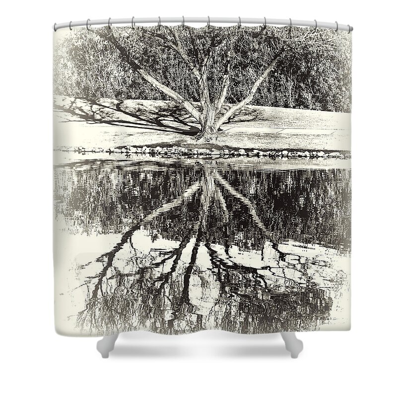 Pond Shower Curtain featuring the digital art Tree Reflections by Georgianne Giese